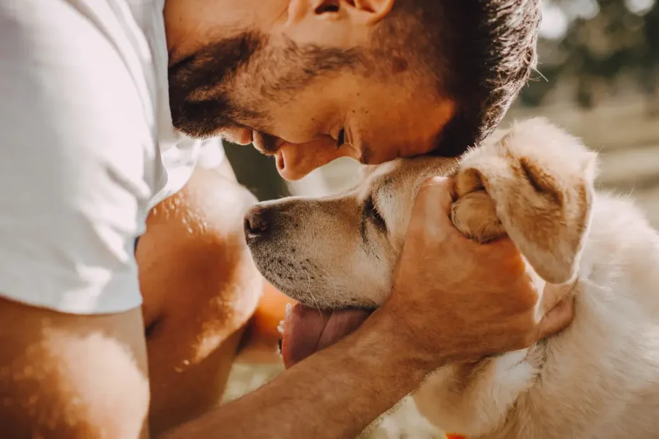 Como Reduzir a Ansiedade Social de Cães