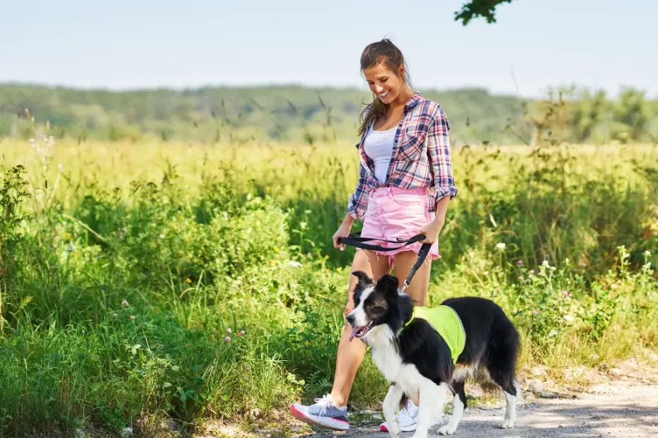 Passeios Seguros para Cães em Áreas Coletivas