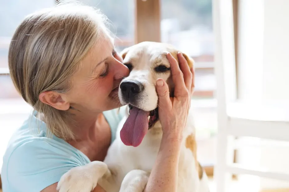 Adestramento Silencioso para Cães Latidores