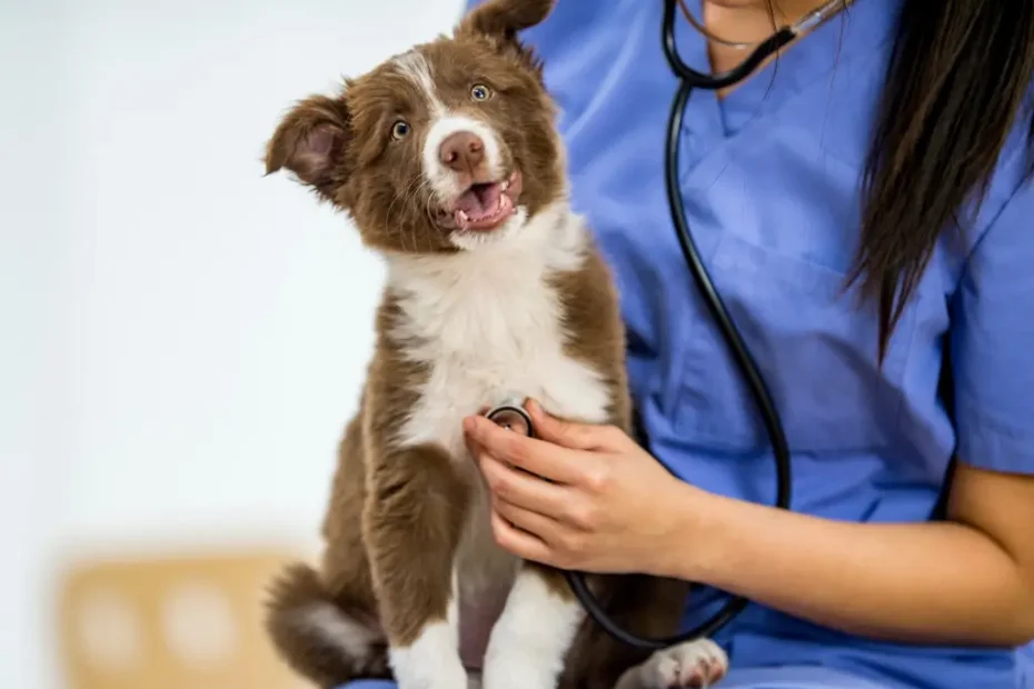 Doenças Caninas