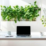 site-profissional-dicas-para-atrair-mais-clientes-agora